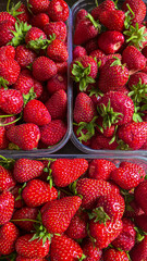 Ripe strawberries picked from the garden. In disposable containers. sale.