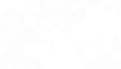 Realistic white clouds fog overlay isolated on the transparent background