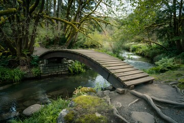 Fototapeta premium Wooden footbridge over mossy creek in lush forest