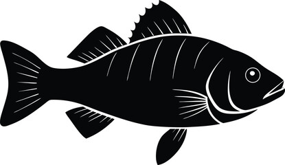 Black and White Fish Illustration Detailed Silhouette of a Bass