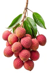A Bunch of Fresh Lychee Fruit with Green Leaves on a Branch