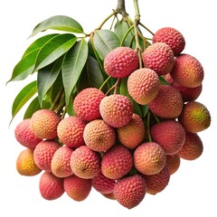A vibrant cluster of fresh lychees on a branch with lush leaves