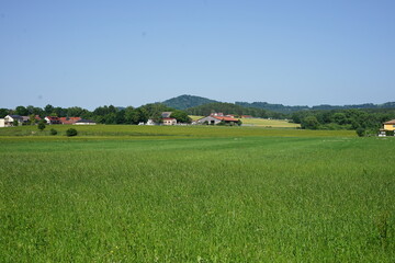 Summer landscape with a farm, green fields, and hills on the horizon. Bright sunlight highlights...