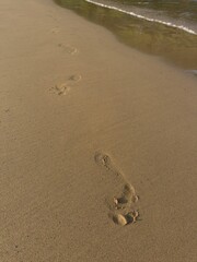 Footprints on beach. close-up of human footprints in wet sand on seashore