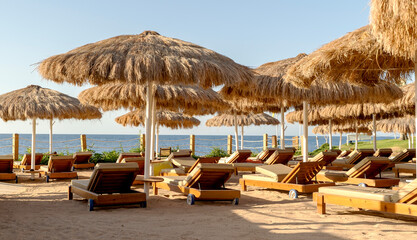sun beds by the pool near the sea