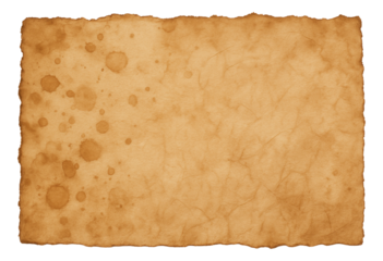 Aged parchment paper with rough edges and scattered water stains, creating an antique texture on transparent background.