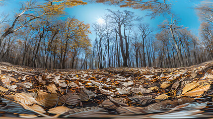 Serene Sunlit Forest Paths: Morning Light Filtering Through Lush Canopies