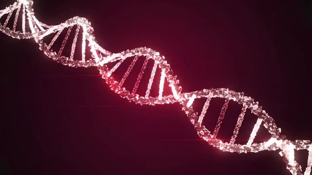 Understanding DNA structure and function