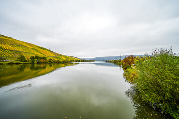 View of the Moselle near Longuich. Riverside landscape with vineyards in autumn.
