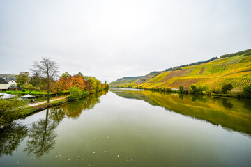 View of the Moselle near Longuich. Riverside landscape with vineyards in autumn.
