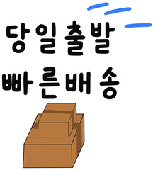 Same-day shipping and fast delivery icon with cardboard boxes illustration