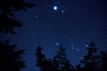 Fototapeta premium Milky Way stars and rural countryside tree silhouettes