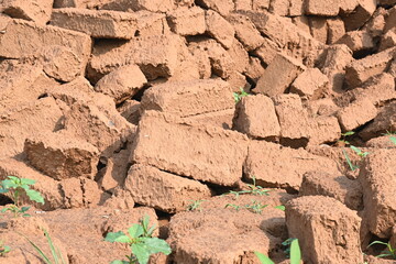 Raw clay bricks have soaked in water.
Sun dried mud bricks, ruined by getting soaked in rain water. Bricks production.
