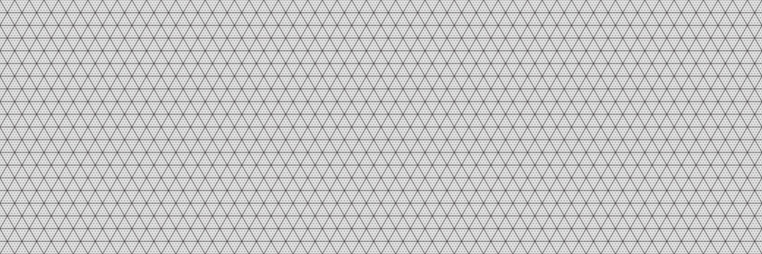 Black isometric grid on white bg with small linear divisions. Smooth triangle grid design. Orthogonal grid texture. Graph paper template