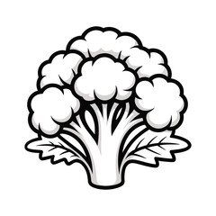 Flat Broccoli Vector Illustration on White Background.