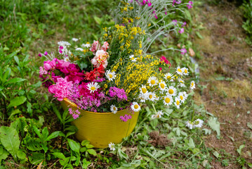 Wild summer flowers in yellow basket in a green garden . Gardening concept