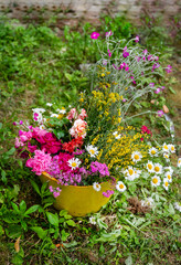Wild summer flowers in yellow basket in a green garden . Gardening concept