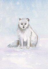 Arctic fox in winter