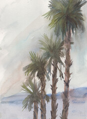 Palm- tree near sea
