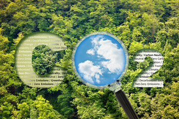 CO2 Net-Zero Emission - Carbon Neutrality concept against a forest with keywords and magnifying...