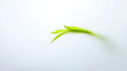 Obraz premium Abstract Green Leaf Swirl Minimalist Nature Photography
