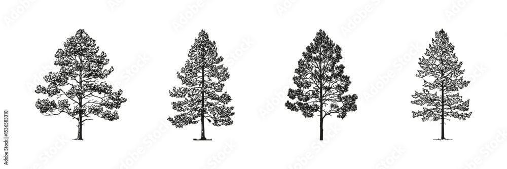 Wall mural coniferous trees sketch set. landscape design and architectural elevation collection. isolated vecto