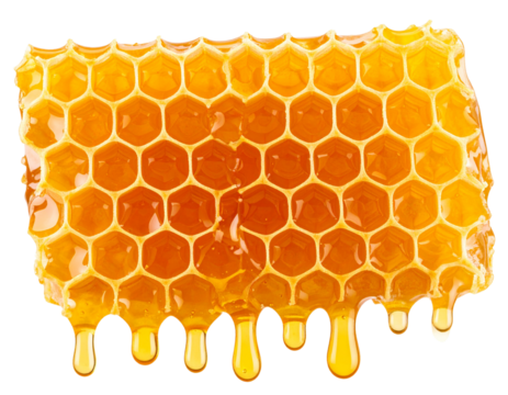 Natural Honeycomb with Dripping Golden Honey, isolated on transparent background PNG