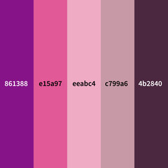 Fototapeta premium Vibrant Pink and Purple Color Palette Background – High-Resolution JPEG for Digital Design