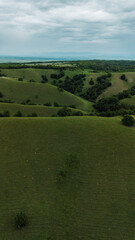 Curved green hills and tree lines in the Deliblato Sands nature reserve, seen from above in vivid...