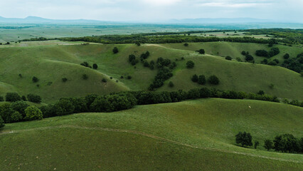 Obraz premium Drone view of rolling green hills in Zagajicka brda in spring season, with scattered trees and a winding valley path through untouched spring landscape in Vojvodina, Serbia