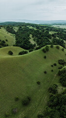 Drone view of rolling green hills in Zagajicka brda in spring season, with scattered trees and a...