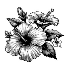 Fototapeta premium hibiscus flowers and leaves sketch engraving generative ai fictional character PNG illustration. Scratch board imitation. Black and white image.