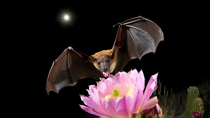 Cute brown bat with a red flower in its mouth, happy and playful