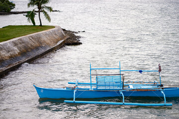 Blue Outrigger Canoe Moored Against a Shoreline With Greenery and Palm Trees