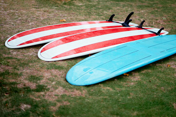 Colorful Surfboards Resting on Grass Ready for a Beach Adventure