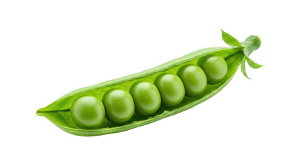 Fresh Green Peas in a Pod Closeup View