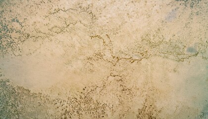 vintage cracked plaster wall texture with muted beige and sage green marbling detail for rustic background, web design, antique print template, or grunge branding

