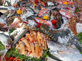 Essaouira fish market, Morocco