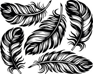 Obraz premium Elegant White Feathers Collection Set of Different Feather Silhouettes for Design