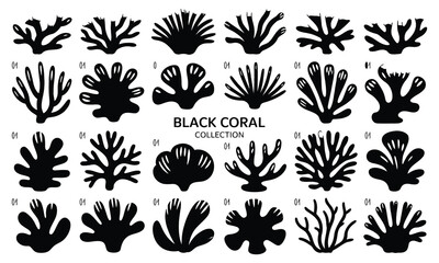 Obraz premium Black coral collection 24 silhouette illustrations