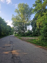 the road that leads to childhood