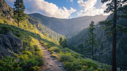 Obraz premium A hiking path winding through lush green mountains with sunlight