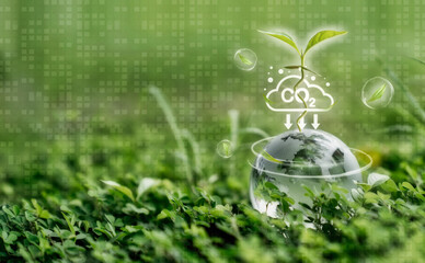 Sustainable Environment: Seedling Absorbing CO2 on Earth Globe