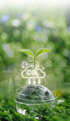 Sustainable Environment: Seedling Absorbing CO2 on Earth Globe