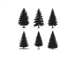 Obraz premium Six evergreen tree silhouettes for design