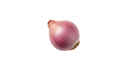 Closeup of a Single Vibrant Pink Onion