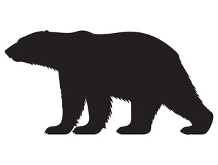 Fototapeta premium POLAR BEAR SILHOUETTE