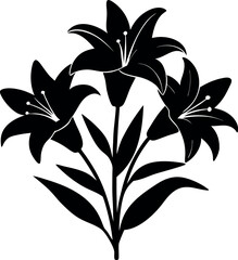Black and White Lily Flower Silhouette