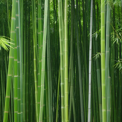 bamboo