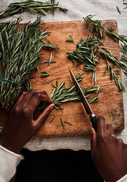 cutting rosemary